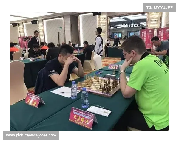 2017年象棋甲级联赛