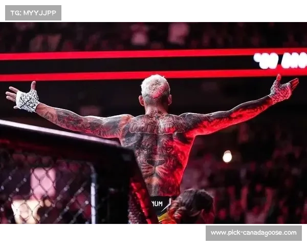 2017ufc新赛事,2021年1月17日ufc 2017ufc新赛事,2021年1月17日ufc