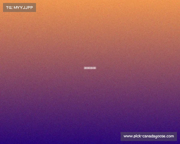 世界杯法国对秘鲁