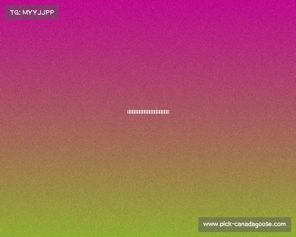 全国赛场风云再起，各路健儿共逐荣耀