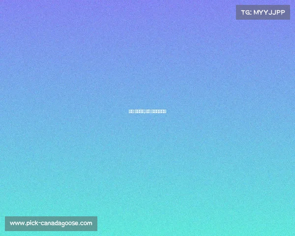 乐视 赛事版权,乐视 赛事版权归属