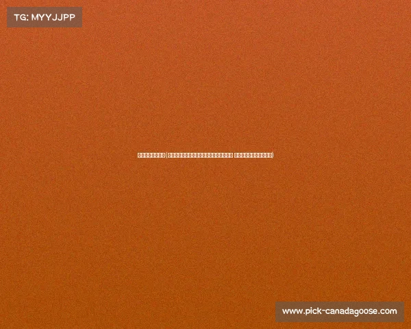 大型赛事活动方案(新时代大型赛事活动引导关键要素全面详解 从规划到监控全周期管理)