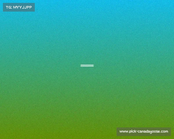 如何为赛事制造亮点