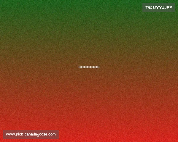 国际跑车赛事、世界跑车竞标赛