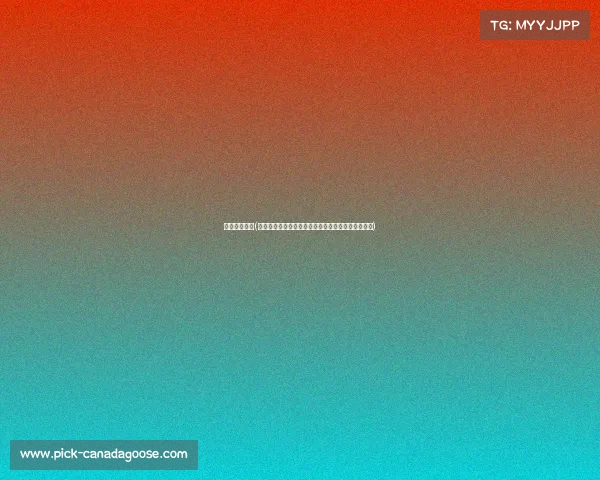 朝鲜女足冠军(朝鲜女足勇夺重要赛事冠军闪耀赛场谱写历史新篇章)