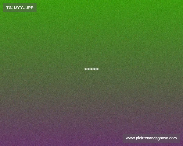 搜狐体育赛事直播平台