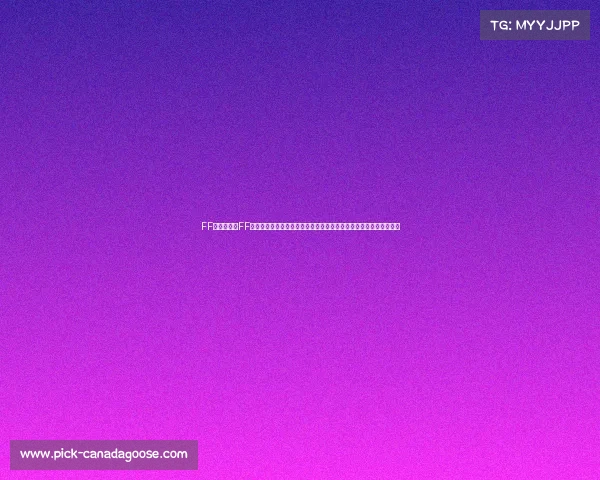 FF搏击赛事—FF搏击巅峰对决全球精英齐聚擂台激情碰撞荣耀之战点燃热血传奇时刻 FF搏击赛事—FF搏击巅峰对决全球精英齐聚擂台激情碰撞荣耀之战点燃热血传奇时刻