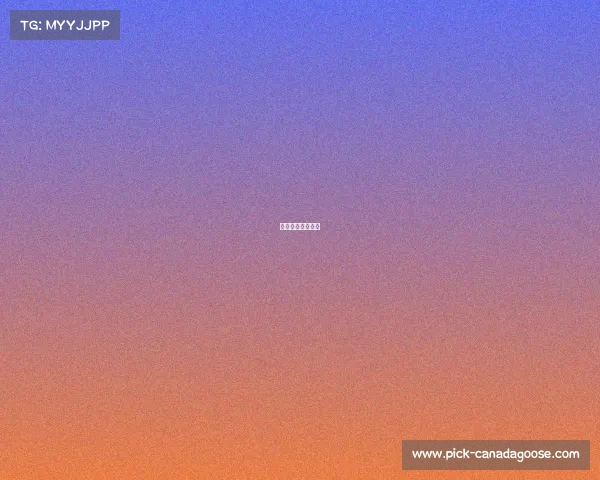 乒联退赛事件始末