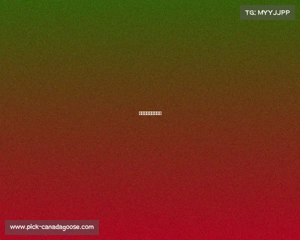 刘诗雯昨天比赛情况