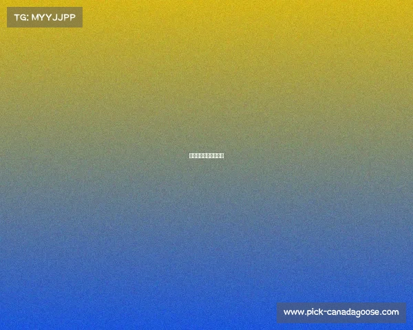 印尼杯赛事规则是什么