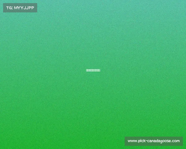 国内门球赛事排行榜