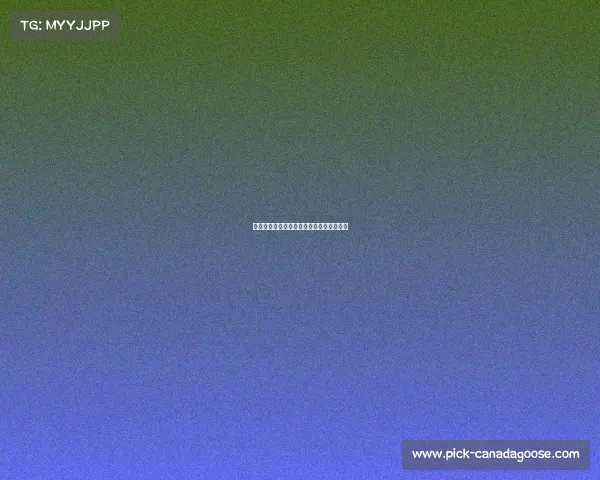 够没运动赛事点燃全民健身热潮与文化传承