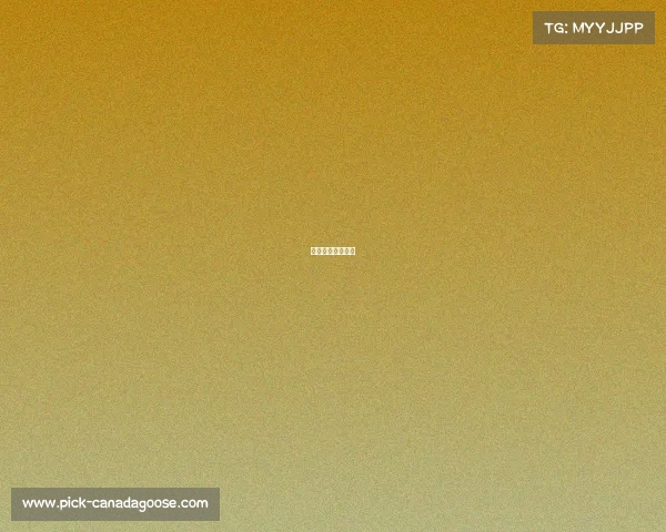 昨天篮球现场直播