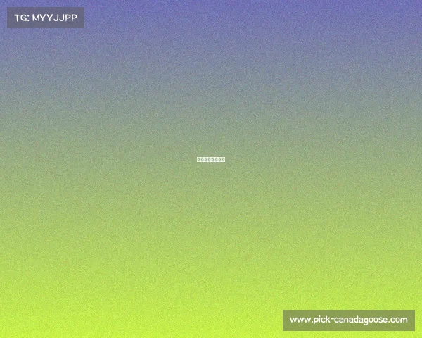 江苏台球赛事发布