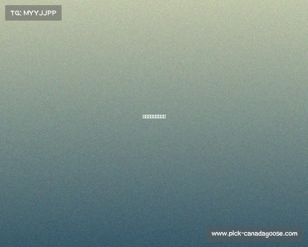 运动赛事含金量排名