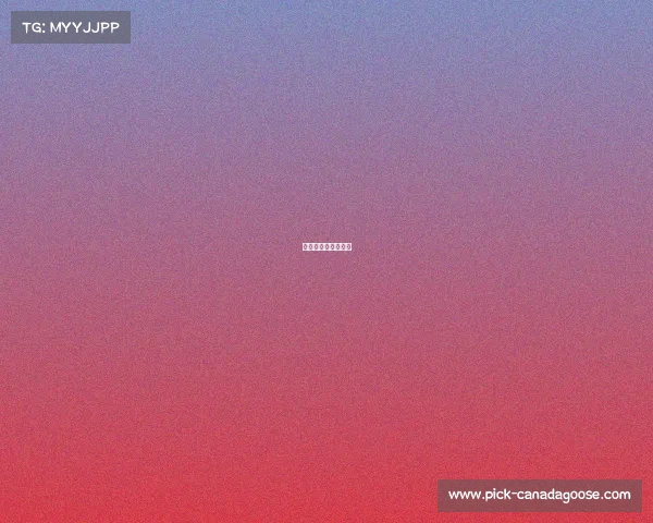 搏击比赛节目有哪些