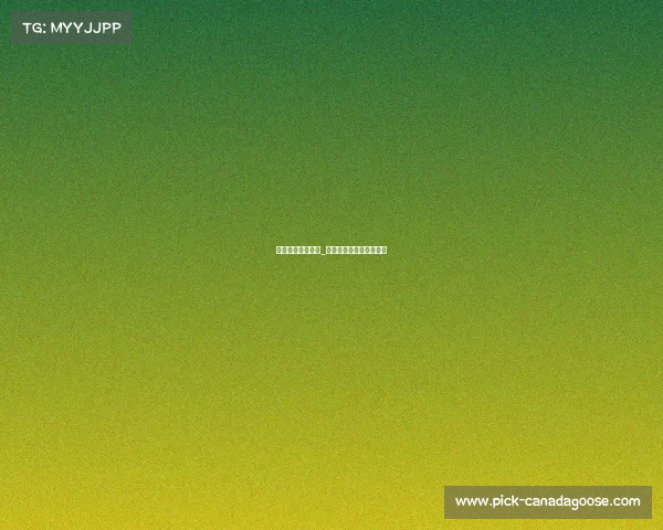 明年排球世界赛事_明年排球世界赛事有哪些