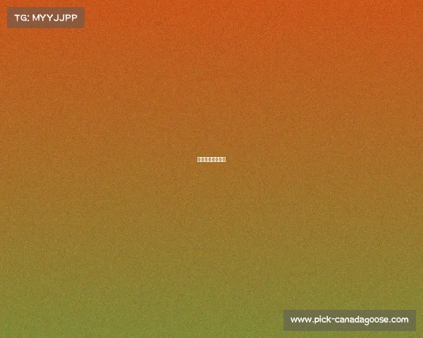 海阳竞技体育学校