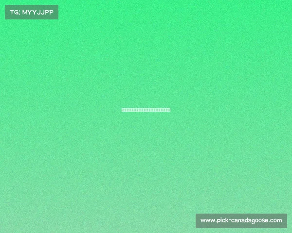 聚焦中国顶级体育赛事共享竞技巅峰荣耀时刻