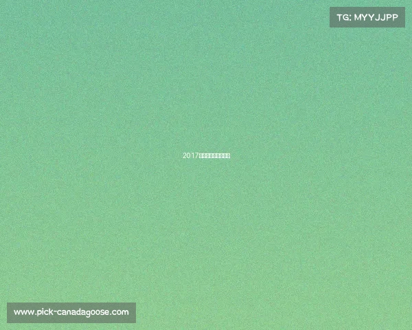 2017年乒乓球公开赛冠军