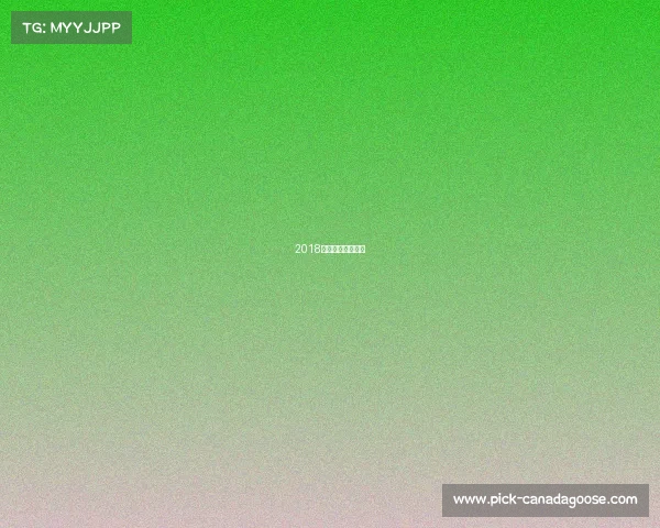 2018欧冠决赛回放央视