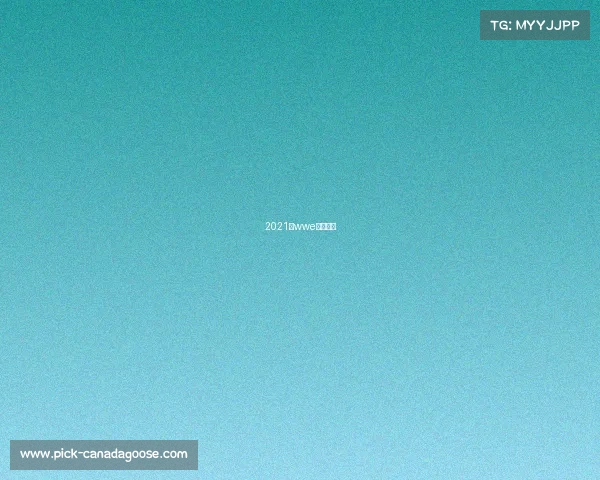 2021年wwe比赛视频