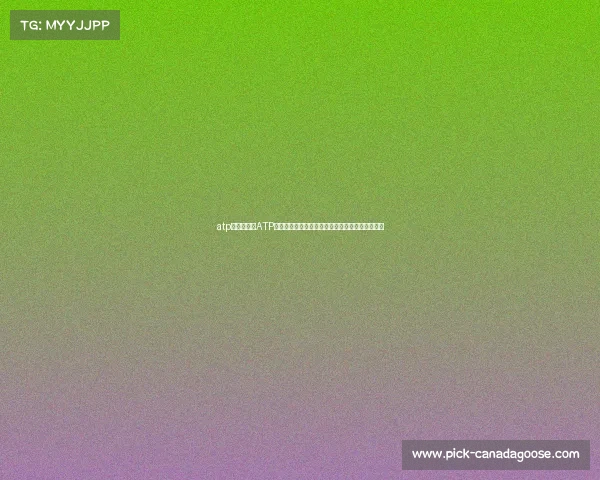 atp赛事安排—ATP男子职业网球巡回赛年度赛程全面规划与优化安排