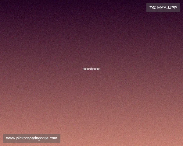 免费直播nba赛事软件