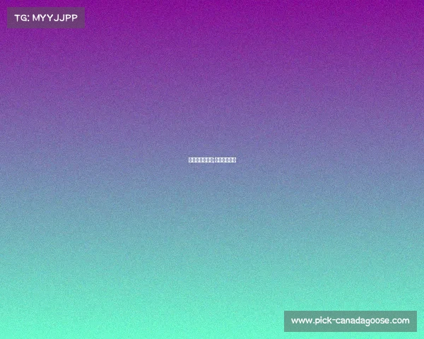 排球赛赛事解说;排球现场解说