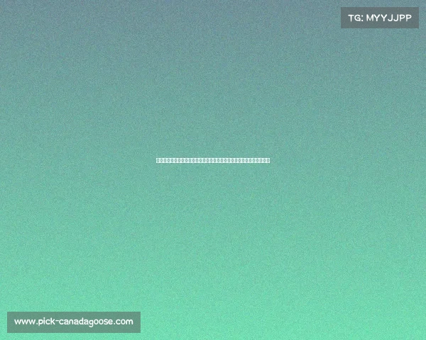 沈阳滑冰赛事激情点燃冬日冰雪盛宴滑冰健儿同台竞技精彩无限万众瞩目