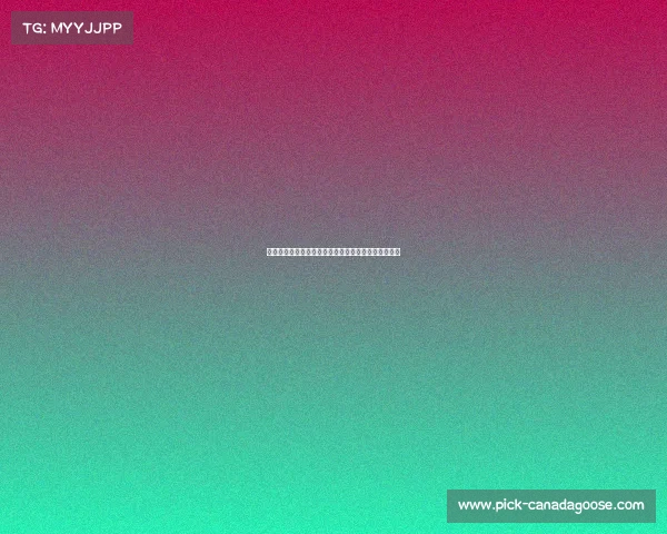 马术俱乐部主营赛事：精英骑手巅峰对决骏马竞技盛宴